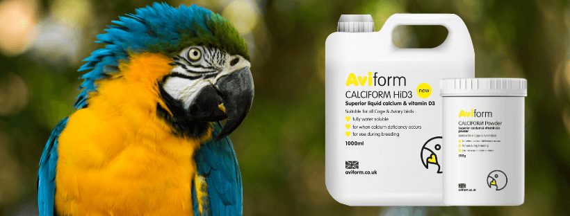 AviformAvian's tweet photo. OUR CALCIUM SUPPLEMENTS EXPLAINED
Which product should YOU be using? 

https://t.co/uEAs5nADWf https://t.co/pmHFK9uyrA