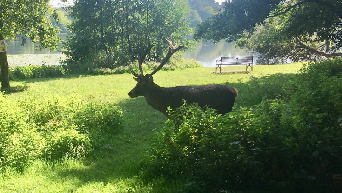 Historic Nottingham 🕍 tweet media