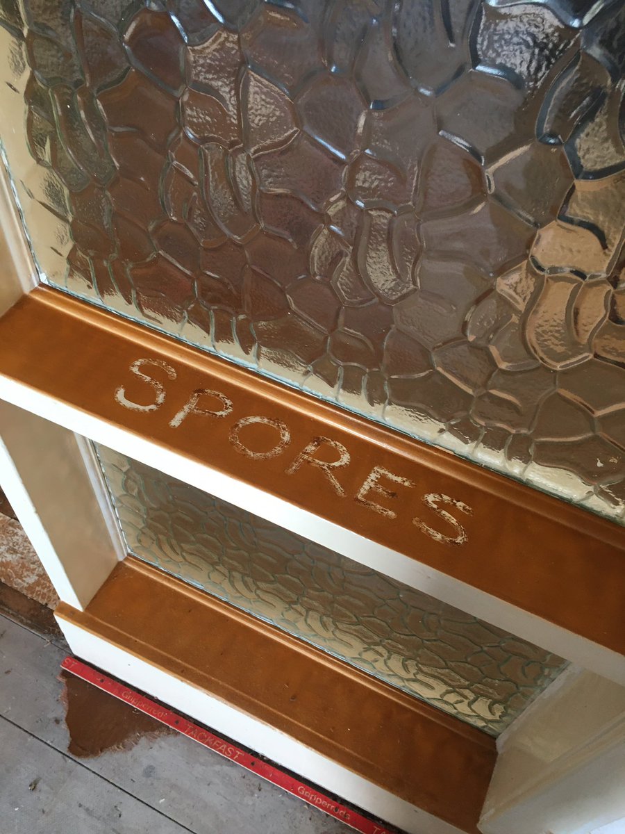 A dry rot problem discovered in a customers house in High Barnes 🍄