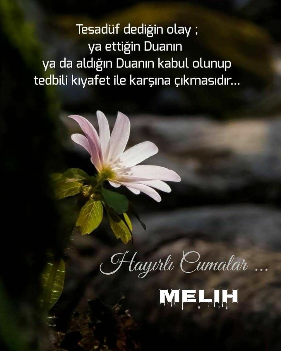 farkimi_farket1's tweet photo. Hayallerinizi gerçeğe dönüştürecek fırsatın karşınıza çıkmasını sağlayacak güzel bir Duada adınız geçmesi dileğiyle ...
Hayırlı Cumalar ... https://t.co/XObiWFZ6dF