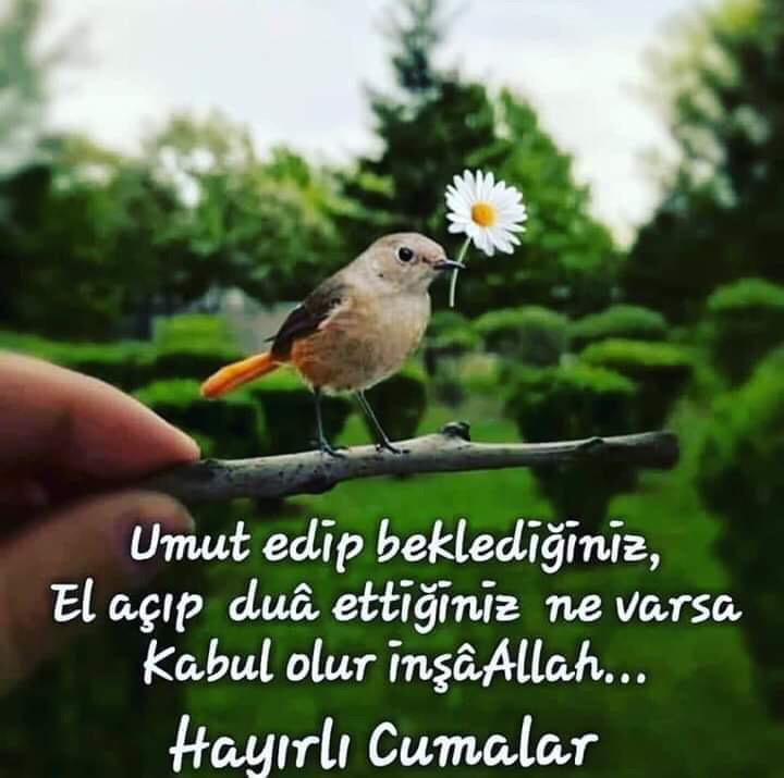 baz2_baz's tweet photo. https://t.co/gXCxExudZe