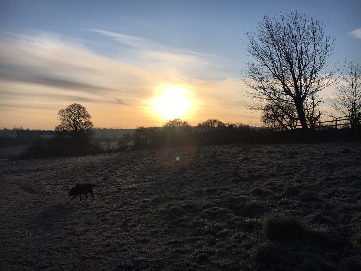 petepjh's tweet photo. Good morning Friday #spotthelab https://t.co/whthbaPg9a
