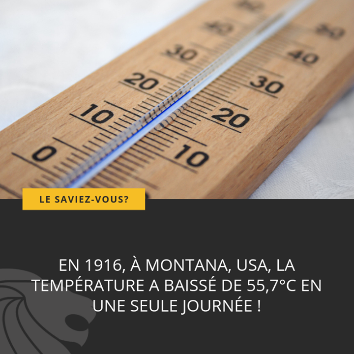 CCLOT_France's tweet photo. Retrouvez toutes les semaines #lesaviezvousbycclot !

#cclot #lesaviezvous #clotures #portails #portillons #serrurerie #barfences https://t.co/tKgvXsn9jy