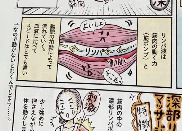 3/2発売「日経ヘルス」にて
【体と心をときほぐすマッサージ】掲載されてます
「深部リンパマッサージ編 首こり&肩こり解放ワザ」
知ってるようで知らない?リンパについてのマンガ図解?も?
コンビニや書店でお見かけの際によかったらご覧になってみてください(^∇^)
よろしくお願いします!