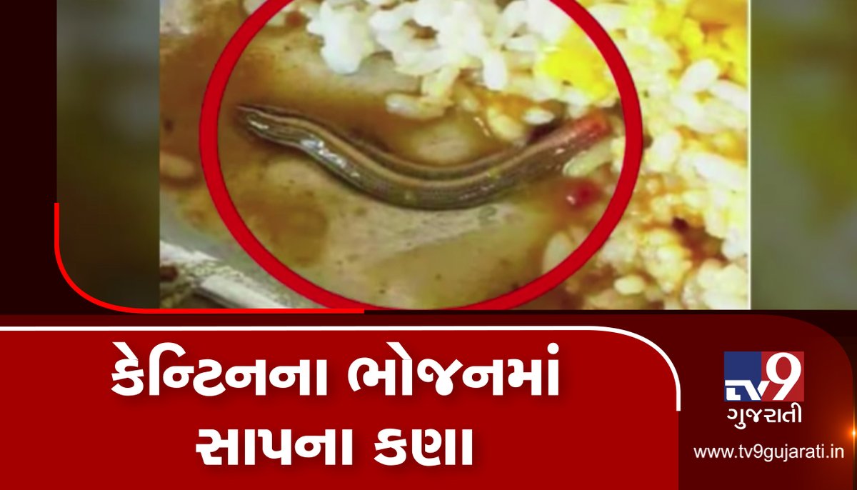 tv9gujarati's tweet photo. VIDEO: ભોજનમાં ઝેર! કોલેજની કેન્ટિનના ભોજનમાંથી નીકળ્યા સાપના કણા
Read: https://t.co/kbwMKQEFAk
#TV9News #AndhraPradesh #AdityaEngineering #SnakesinCanteenFood https://t.co/y2Gb1GQPUo