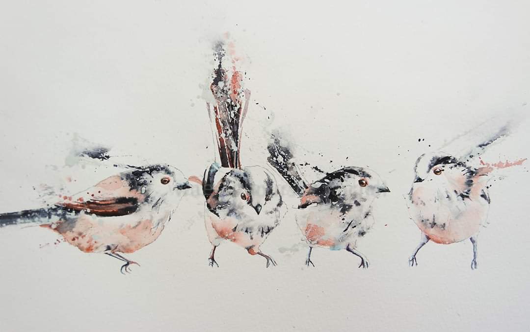 Happy Friday Everyone x

#animalmarch  #longtailedtits #gardenbirds #birds #feedthebirds #watercolor #animalportrait #BigArtBoost #thedailysketch #devon #animalbehavior #wildlife #wildlifeartist #movement #Devon #painting #watercolourpainting #art #artist #paint #loosepainting