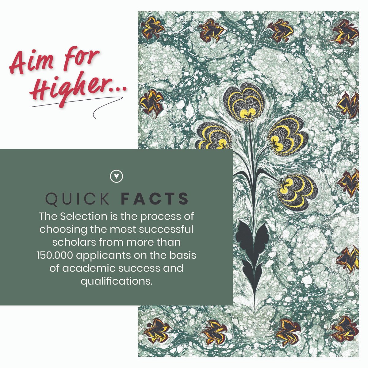 TurkiyeBurslari's tweet photo. The Selection process of Türkiye Scholarships candidates takes place from among more than 150.000 applicants based on academic success and qualifications. 

Follow our #quickfacts for more info. #AimForHigher https://t.co/RrWlaLJ6Bm