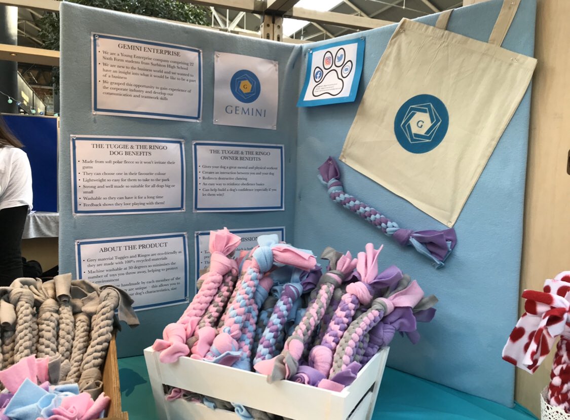 Geminienterpri2's tweet photo. Team Gemini will be selling handmade dog toys at the Surbiton High Fashion show tonight! Our dog toys are very durable meaning you won’t have to throw away any more chewed up toys. As the theme of the fashion show is climate change, we have included our 100% recycled dog toys! https://t.co/FYVgSCkBQe