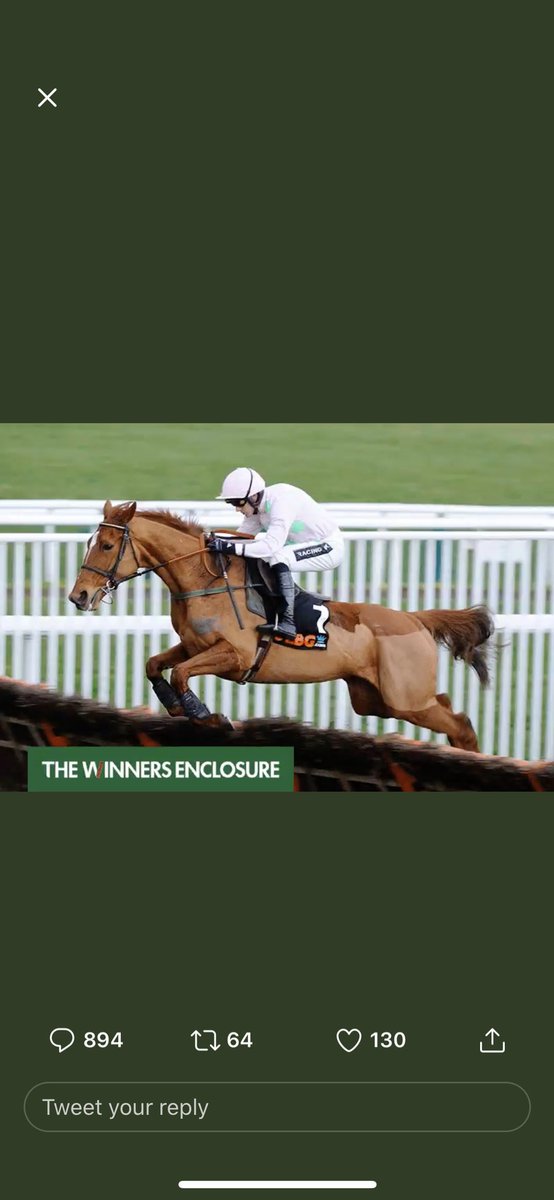 owen_gregs7's tweet photo. @TWEnclosure @BetVictorRacing 🐎 https://t.co/9M95pV0QnX