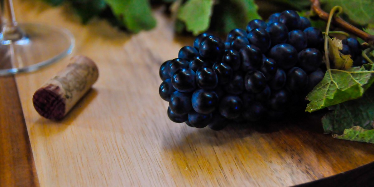 Looks like we are bringing more grapes nest week, with plans to start picking our Merlot.

#SlaleyStellenbosch #SlaleyFarm #Harvest2020