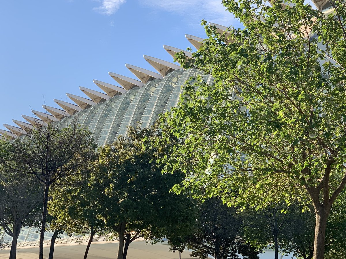 wmildner's tweet photo. #worthproject #worthweekend2020 @WORTHProject #valencia https://t.co/9Urf3nADUg