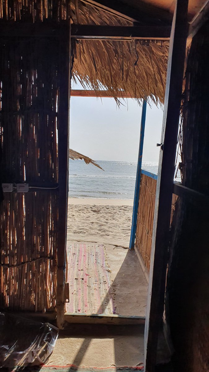 MayElkhayat's tweet photo. Bonjour 🌞
#LookAtThis Hut view!
#myroomview
#Southsinai
#redsea https://t.co/k6Up2ah39A