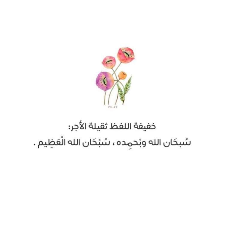 KhafagyShimaa's tweet photo. https://t.co/tTrORSgS88