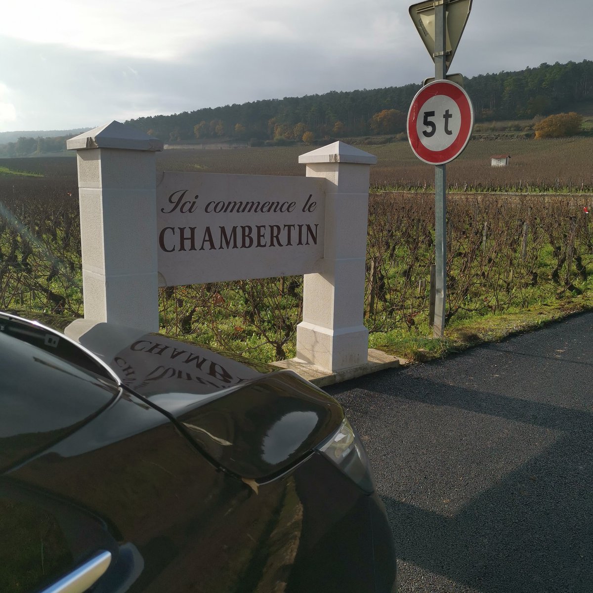 MyAutomedon's tweet photo. Enjoy the Chambertin vineyards

#burgundy #beaune #cotedenuit #chambertin #gevreychambertin #grandcru #winetour #winetourism #winetravel #winetrip #winelife #vineyards https://t.co/qm7V8uE1TP