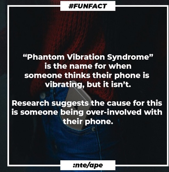 IntelApe's tweet photo. #IntelApe #funfacts 

Enjoy your weekend.

#FridayFeeling #FridayMotivation #FridayThoughts #FridayVibes #fridaymorning #TGIF #JudahTheEP #LearnConnect #TheIntellectsTvShow #CoronaVirus #COVIDー19 #COVID #Covid_19 #CoronaVirusChallenge #CoronaVirusUpdate #Inspiration https://t.co/GPCMxyTsXV