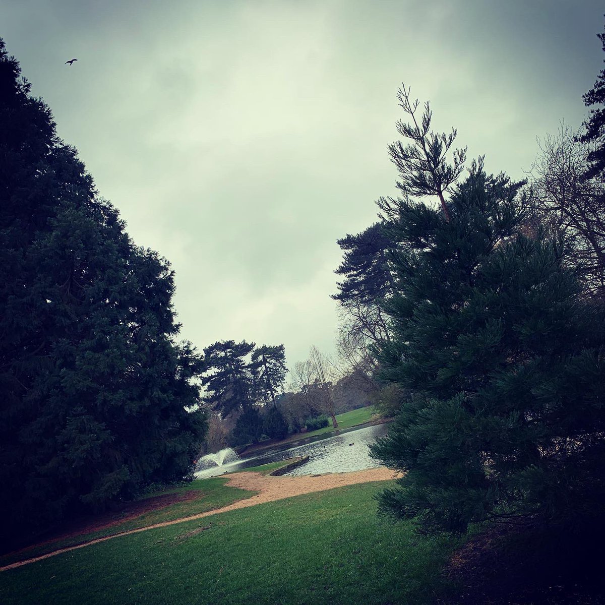 MarathonMum2's tweet photo. 18 miles yesterday morning!! Was tough with my hip shouting from mile 14 but it’s done and I am so chuffed. Feel like I have been hit by a bus this morning though! #marathonmum #londonmarathon2020 #meningitis #sepsis #ukrunchat #runr #londonmarathontraining #run https://t.co/HFftWefoyl