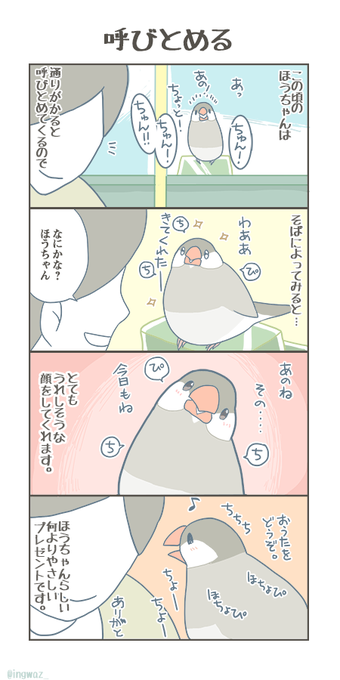 ほうちゃんらしい、あたたかなプレゼントです。

#buncho #javasparrow #文鳥 