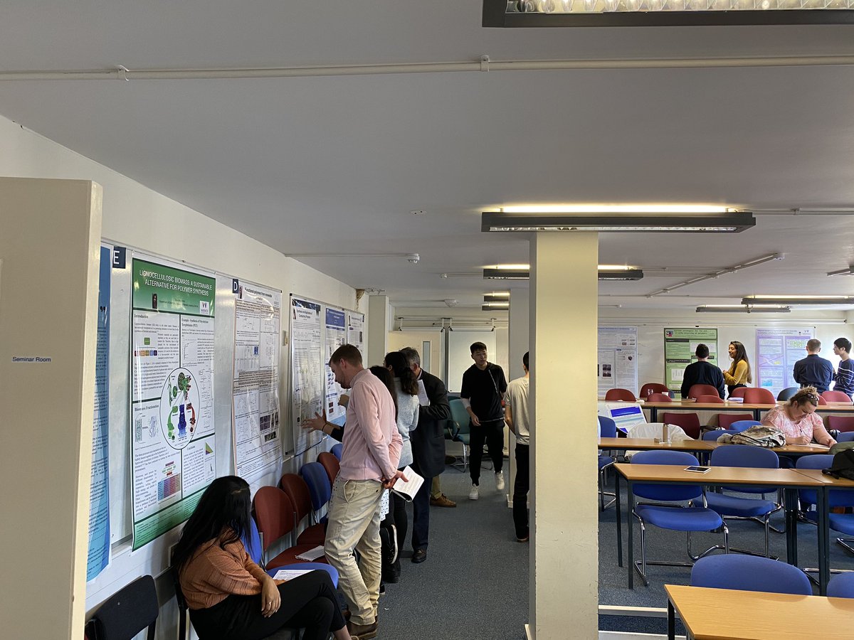 All our students are presenting a poster and we are discussing and marking their work!