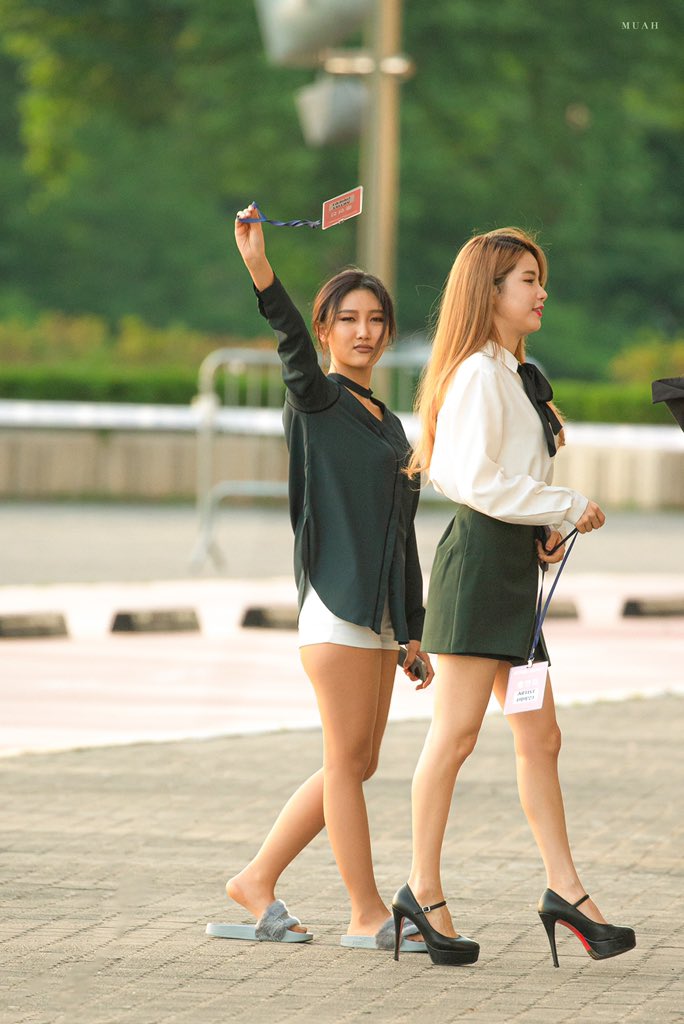 archivehwasa tweet picture