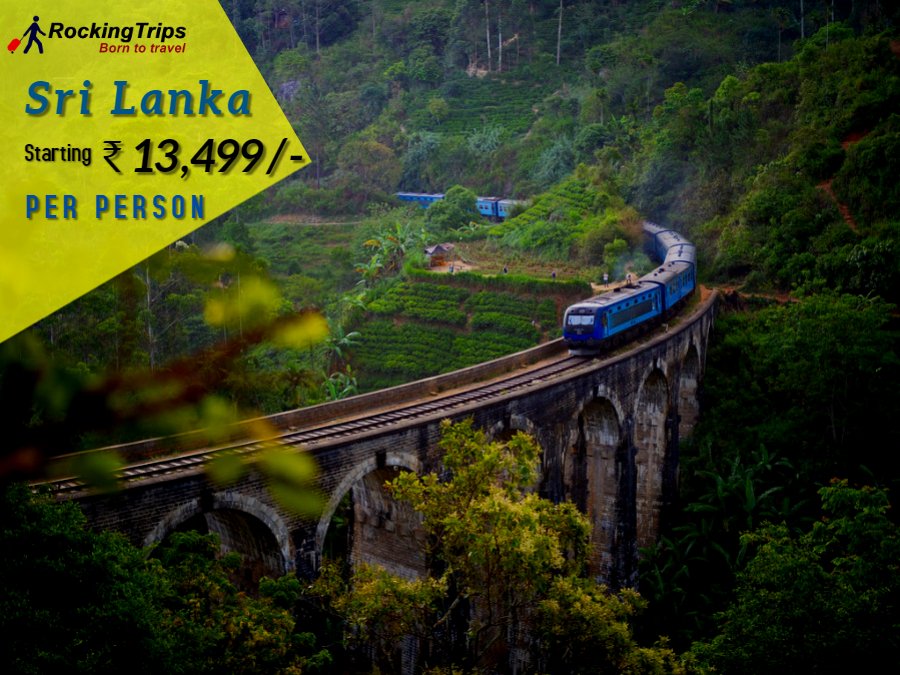 Our most cost effective Sri Lanka Tour offers allow you to explore many of this amazing island's, Places highlights on Rocking Trips We offer cheapest rates for Sri Lanka Tour packages. Starting From Rs. 13,499/- pp

#rockingtrips #RTians #holiday #tour #family #honeymoon