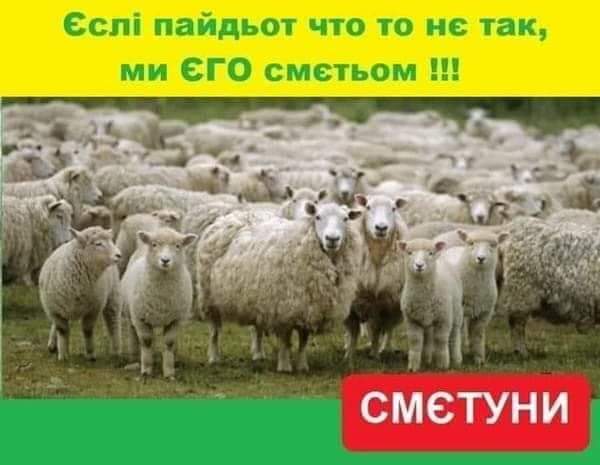 "Господин Зеленский, дальнейшее пребывание на должности может привести к пожизненному заключению и вас, и ваших друзей", - агент НАБУ Шевченко - Цензор.НЕТ 8729