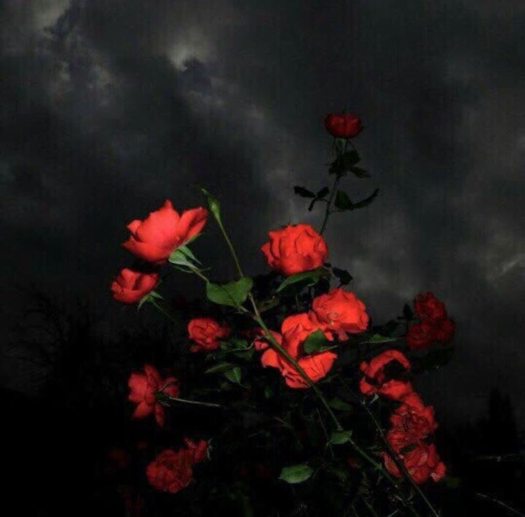 alseead's tweet photo. '

لم تعرفِ الدّنيا كحُبِّ محمدٍ
حُباً تجاوزَ في تساميهِ المدى

ياربّ أسعِدنا برؤيةِ وجههِ
فالشوقُ زادَ مع الحياةِ توقُّدا

صلّى عليكَ إلهُنا ما أشرَقتْ
شمسٌ وما لبّى المُصلون النّدا

                   ﷺ https://t.co/Qa1kRkNbpi