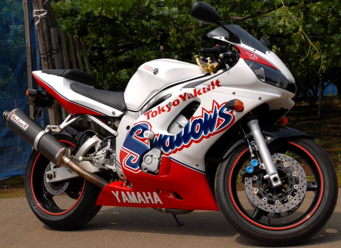 #俺が塗ったバイクみてくれ #自家塗装
その②…YZF-R6!

ヤクルト仕様です。一番がんばった自家塗装かも!
心残りは…このバイク一度も神宮に乗ってってないんです?? 