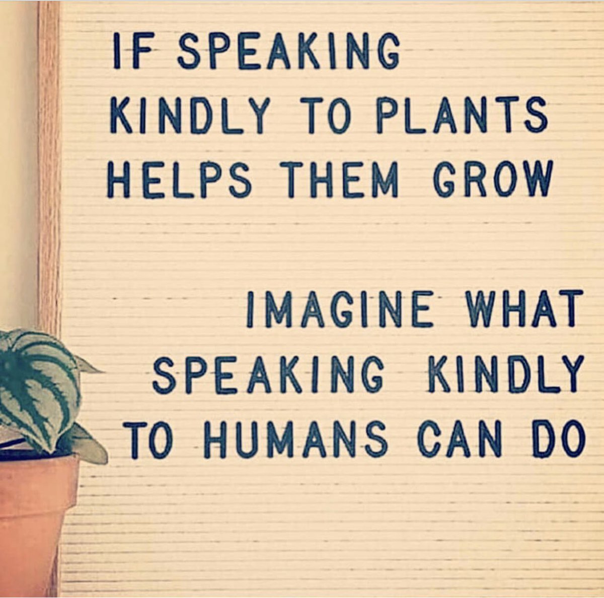 SHARONHADLEY1's tweet photo. Happy Friday everyone think before you speak as people may be facing battles you no know nothing about #kindnessalways #civilitysaveslives @BCUMidwives @BCUHELS @BCUMidwives @BCUMidSoc @mcareetrixie @sheena_byrom https://t.co/Nx6jrkxJ3S