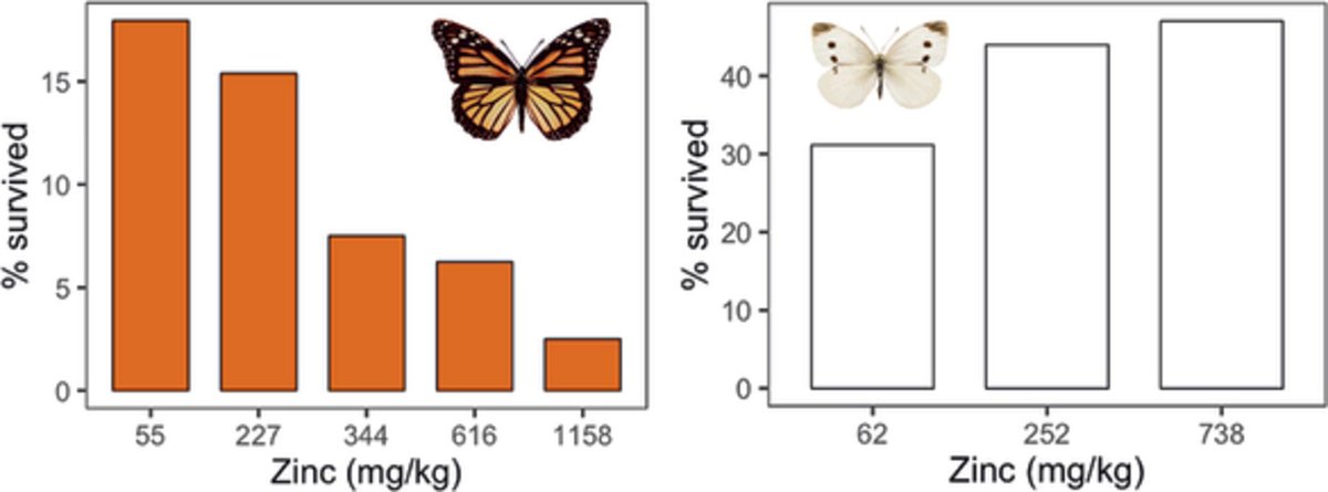 Assessing zinc tolerance in two butterfly species: consequences for conservation in polluted environments onlinelibrary.wiley.com/doi/full/10.11…
