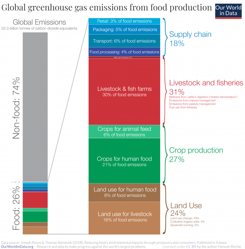Helene Teulon tweet media