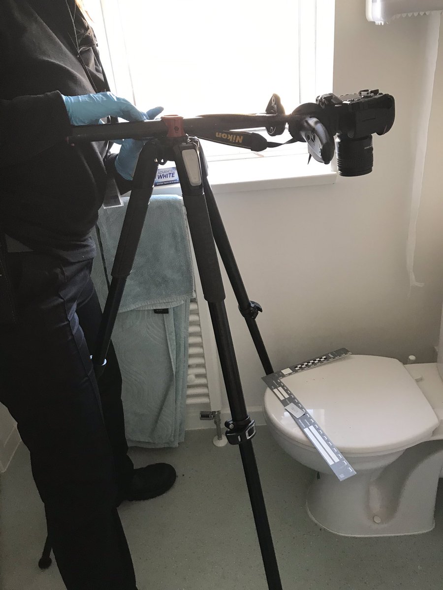 RSSS_Training's tweet photo. It was assessment day yesterday for #CSI stage1, all did very well. https://t.co/eEpz55IIkH
