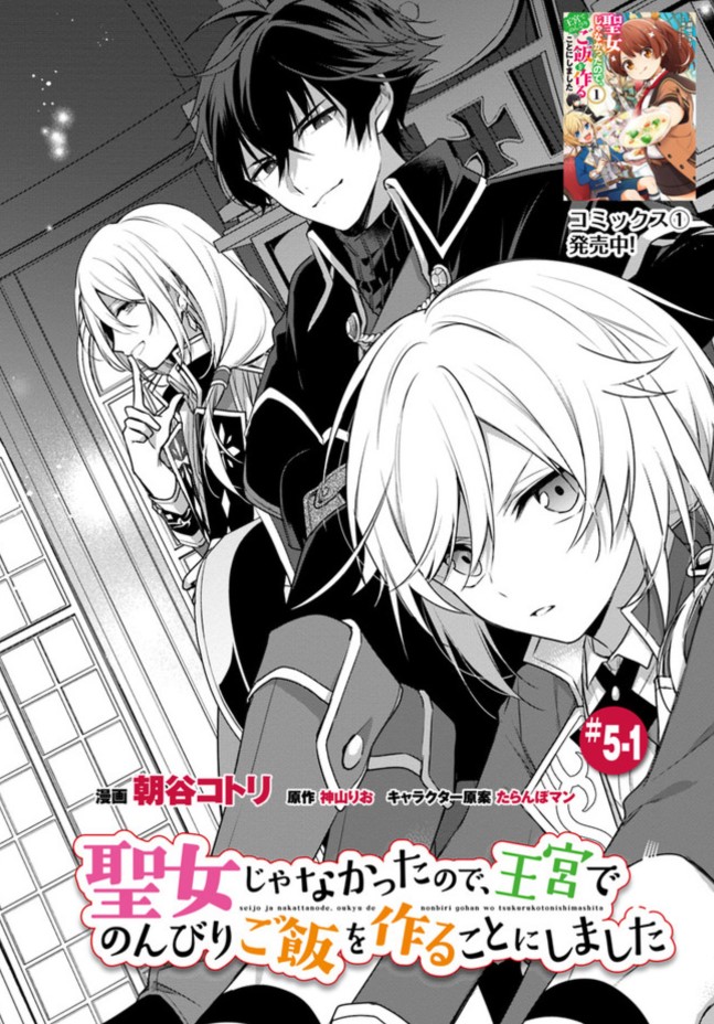 聖女 じゃ なかっ た ので 王宮 で のんびり ご飯 を 作る こと に しま した 小説