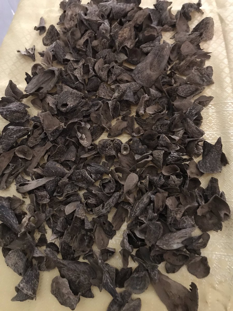 ChesdaOud's tweet photo. Cambodia Oud
Pursat cones 
Good quality 
Quality grade
We also have sample pack available 
Please inbox or Whatsapp 
https://t.co/I1x5fyybzT

Snapchat 
https://t.co/p41OxY4bTi

#oudperfume #oud #agarwood #cambodiaoud #arabicoud #Chesdaoud #kuwaitoud #saudioud #uae https://t.co/DqKOEOaf6c