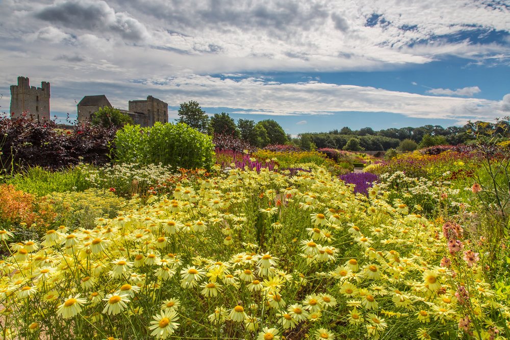 RJBOTANICO's tweet photo. Gracias a @latabla_blog podemos presumir de estar al día en las novedades paisajísticas y jardineras del mundo mundial. #Savededate: 25 de abril, estreno de "El Jardín Secreto" @TheSecretGarden. https://t.co/UIrn80o9yf https://t.co/zemIv7OYvB