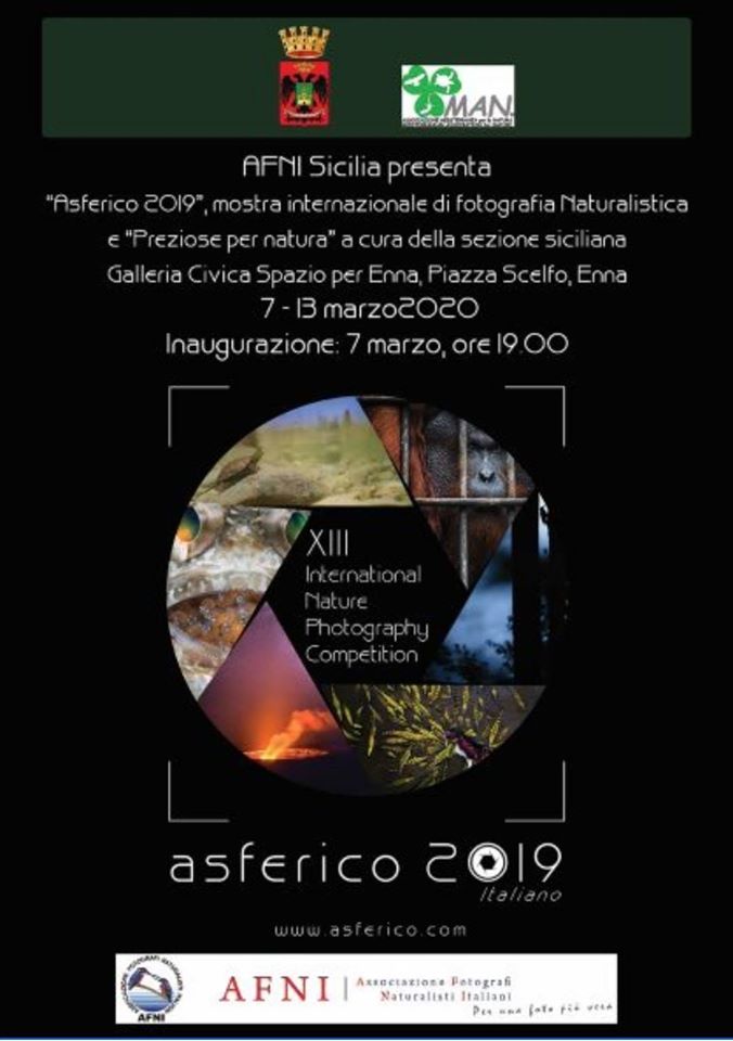 InfoPointEnna's tweet photo. Da sabato 7 a venerdì 13 marzo 2020 - #ENNA - Galleria Civica Spazio per Enna h 19:00 - "Asferico 2019" https://t.co/WxFLhRsQ5M