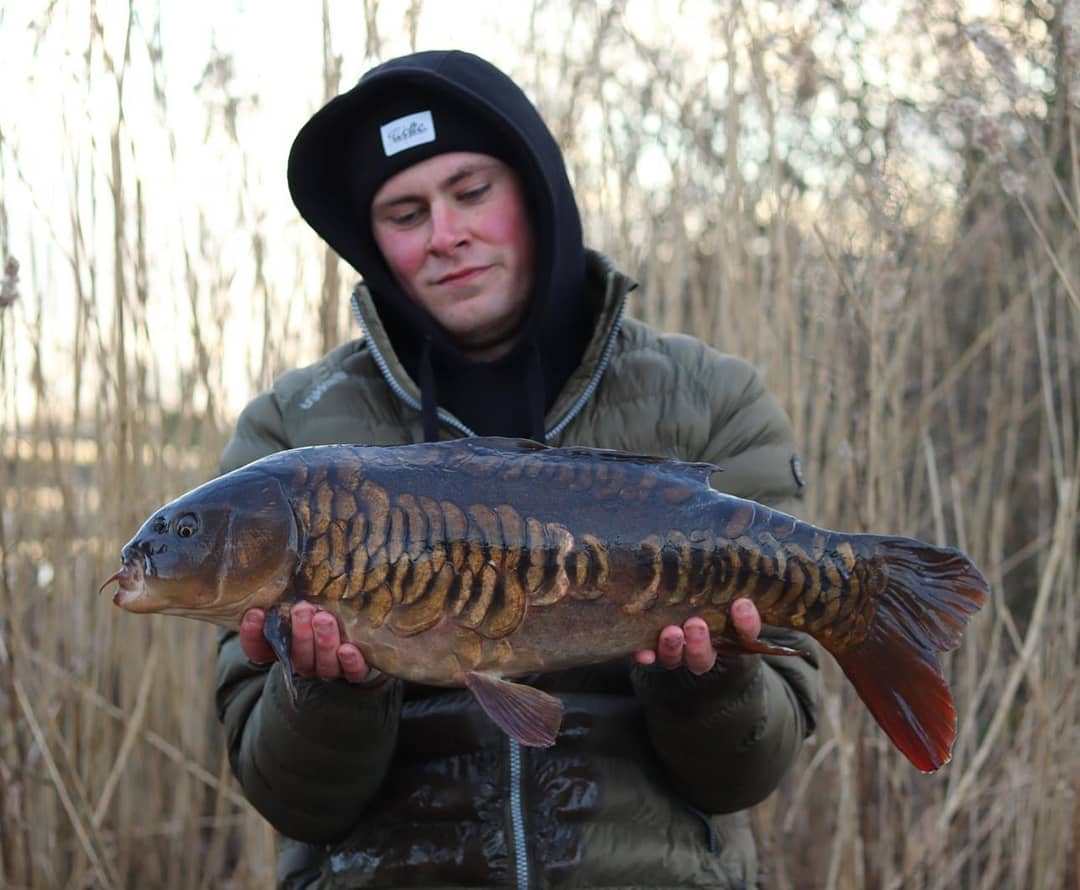 PukkaSquirrelB's tweet photo. The Pukka Rankfish for Ryan doing it Matching Pop Ups over 20 Freebies.
#PukkaRankFish #CarpFishing #CarpAngling #Angling #Fishing #Fisherman #Angler #PukkaSquirrelBaits #PSB https://t.co/Dm1cOckInb