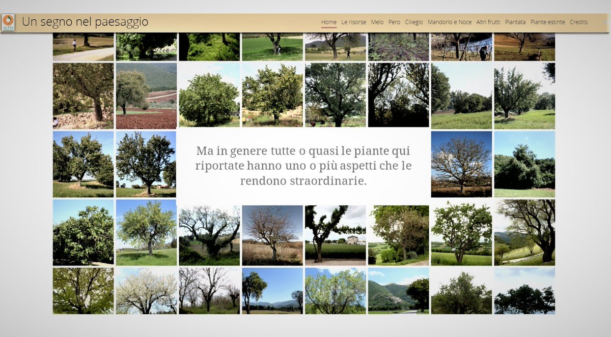 GisAction's tweet image. 🗺GisAction ha realizzato la #storymap che riporta sommarie notizie su circa 300 piante in giro per l’Umbria, un compendio di quasi venti anni di lavoro di #3A-PTA sugli 
alberi da frutto notevoli e monumentali. | #successcase #gis @Esriitalia  
 
Progetto bit.ly/32Vc9fN