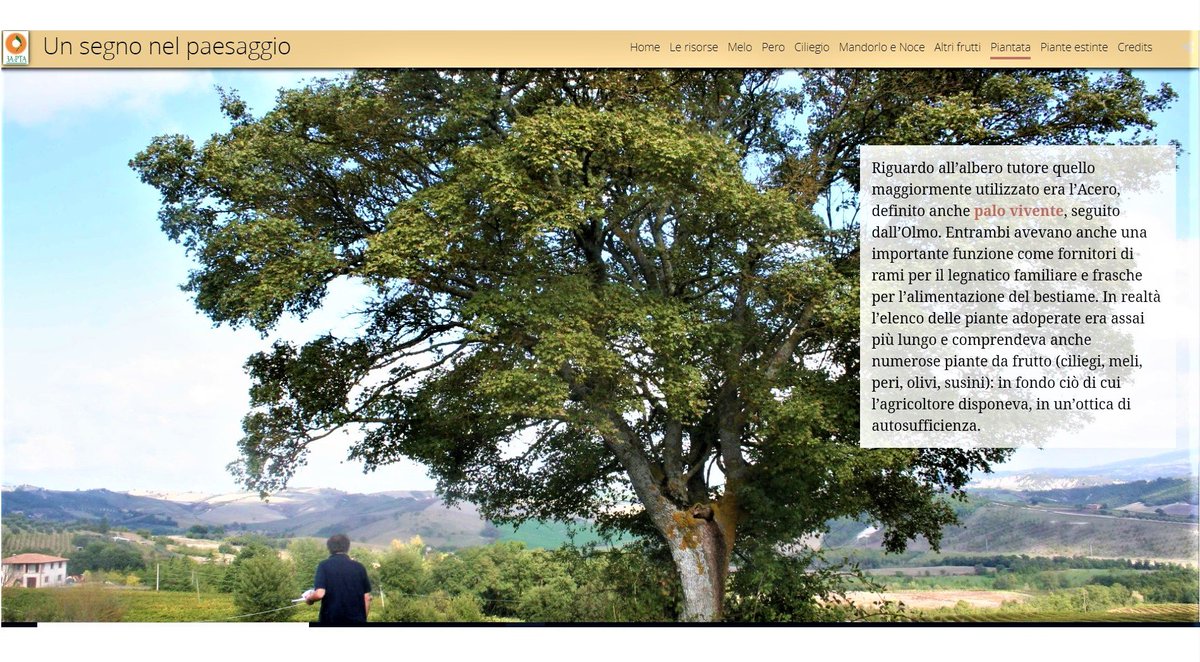 GisAction's tweet image. 🗺GisAction ha realizzato la #storymap che riporta sommarie notizie su circa 300 piante in giro per l’Umbria, un compendio di quasi venti anni di lavoro di #3A-PTA sugli 
alberi da frutto notevoli e monumentali. | #successcase #gis @Esriitalia  
 
Progetto bit.ly/32Vc9fN