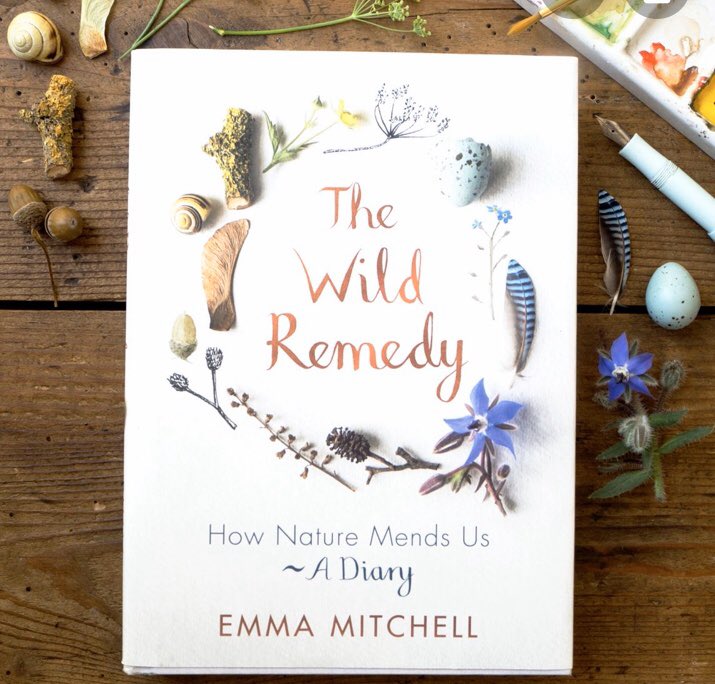 wclibraryplus's tweet photo. Yesterday was #UniversityMentalHealthDay We gave out baby spider plants to students &amp; staff to pot up and take away to their digs or offices. We talked about the @silverpebble (Emma Mitchell) book The Wild Remedy - an inspirational read on the benefits of nature on wellbeing 💚 https://t.co/BFIxJG6cBy