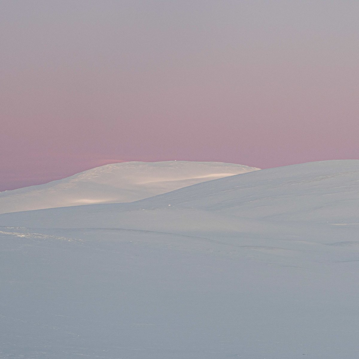 Early morning light
#adventurematters #exploremore #getoutside #laplandexpeditions #lapland #skiexpedition #69degreesnorth #kilpisjärvi #arcticeurope #wildernessguide #fellguide #arcticlight #nordreisa #reisanasjonalpark