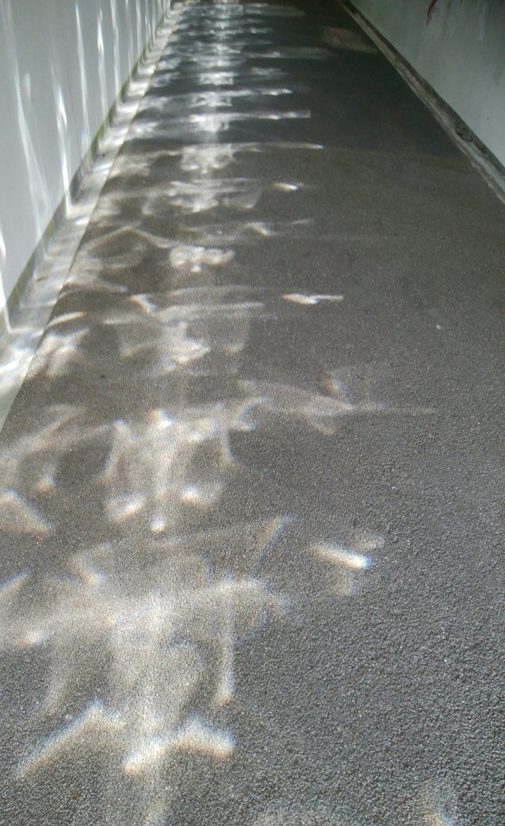 こびとづかんの町つるぎ こびとづかんの町つるぎ