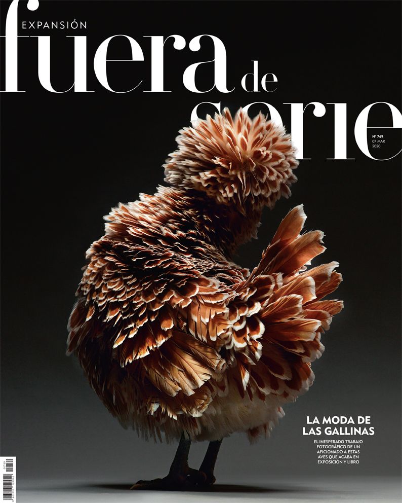 La moda de las gallinas <a href="/teNeues/">teNeues Publishing</a> El sábado, en el kiosco con <a href="/expansioncom/">expansioncom</a>