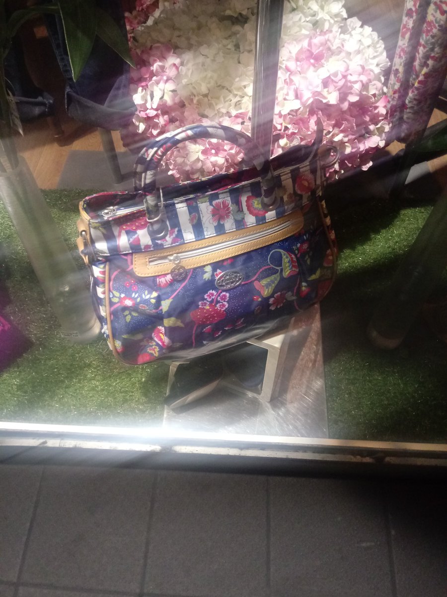 BeadPop's tweet photo. @PDSA_Aberdeen how much for that baggy in the window this morning? https://t.co/89ZfZFa3Jk