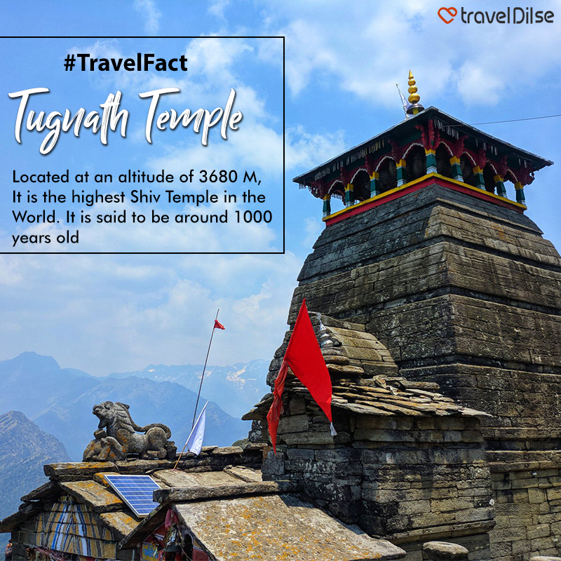 TravelDilSe's tweet photo. Tugnath Temple Fact 💡
#Traveldilse #Travel #Temple #TugnathTemple #TravelFacts #IndianTourism https://t.co/bQZhpS6iB5