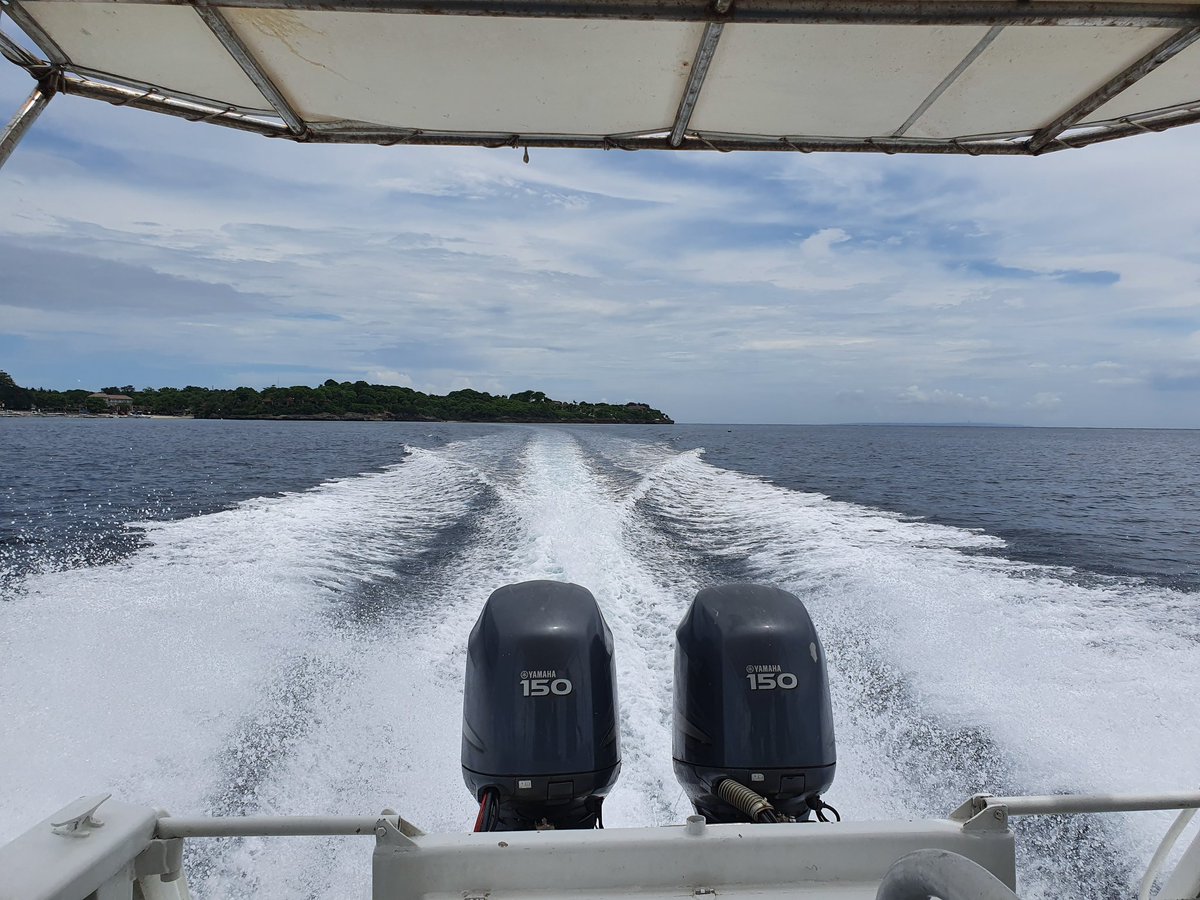 P_T_George's tweet photo. Day 45: Scuba diving today in the shadow of the #AgungVolcano #NusaPenida #Bali Fantastic coral reef, hundreds of species of fish, turtles, moray eels and at the surface, even saw dolphins. https://t.co/ZxhUkgsKI9