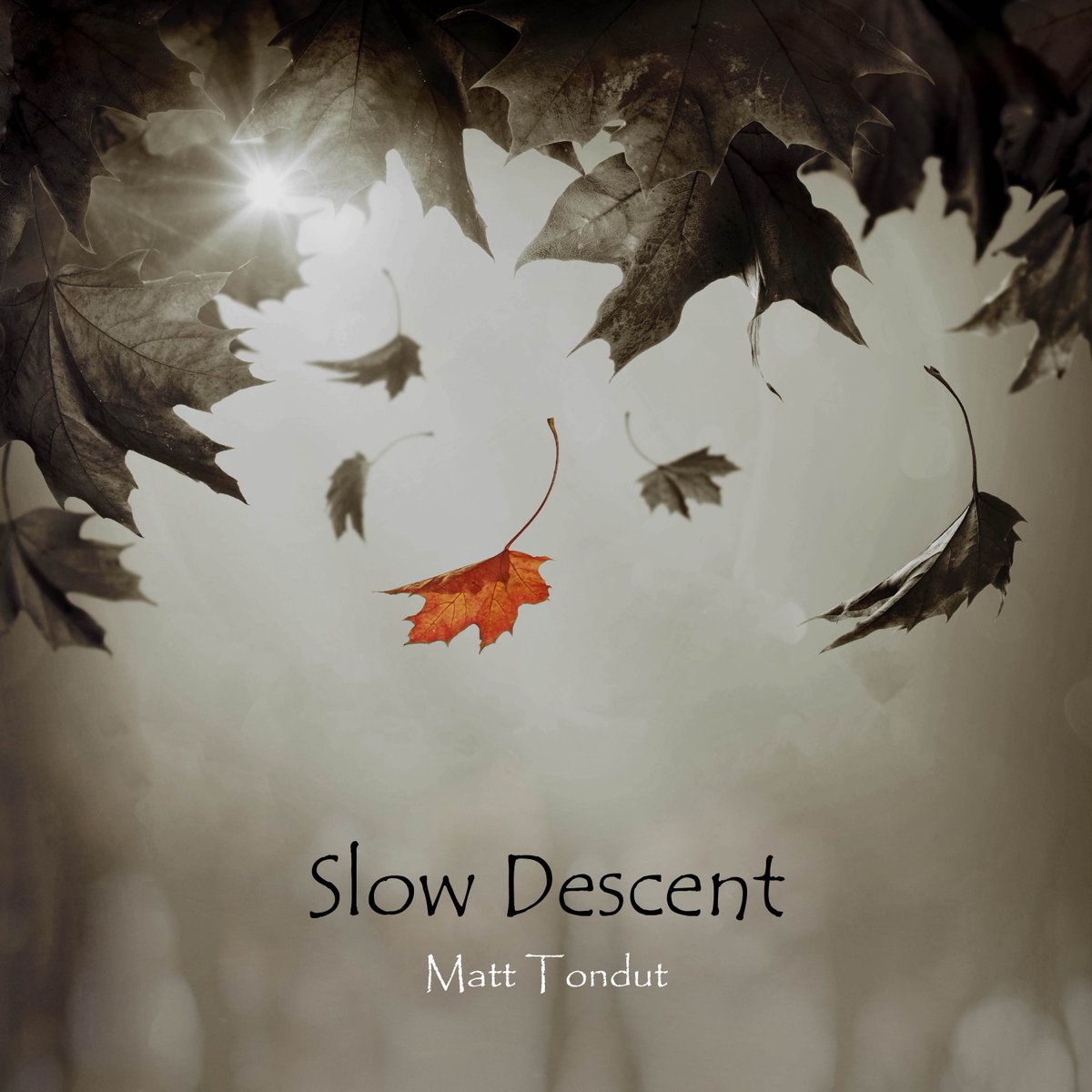 We are proud to present you with our latest release! Slow Descent is a soft piano instrumental piece composed & performed by Australian artist Matt Tondut. fanlink.to/matt_tondut_sl…