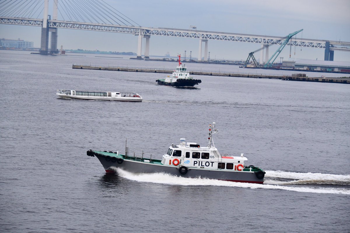 日本海事新聞写真部 Twitterissa 水先人が乗るパイロットボート は一目でわかるように Pilot の文字が大きく書かれています 写真の2隻は横浜港のパイロットボートです