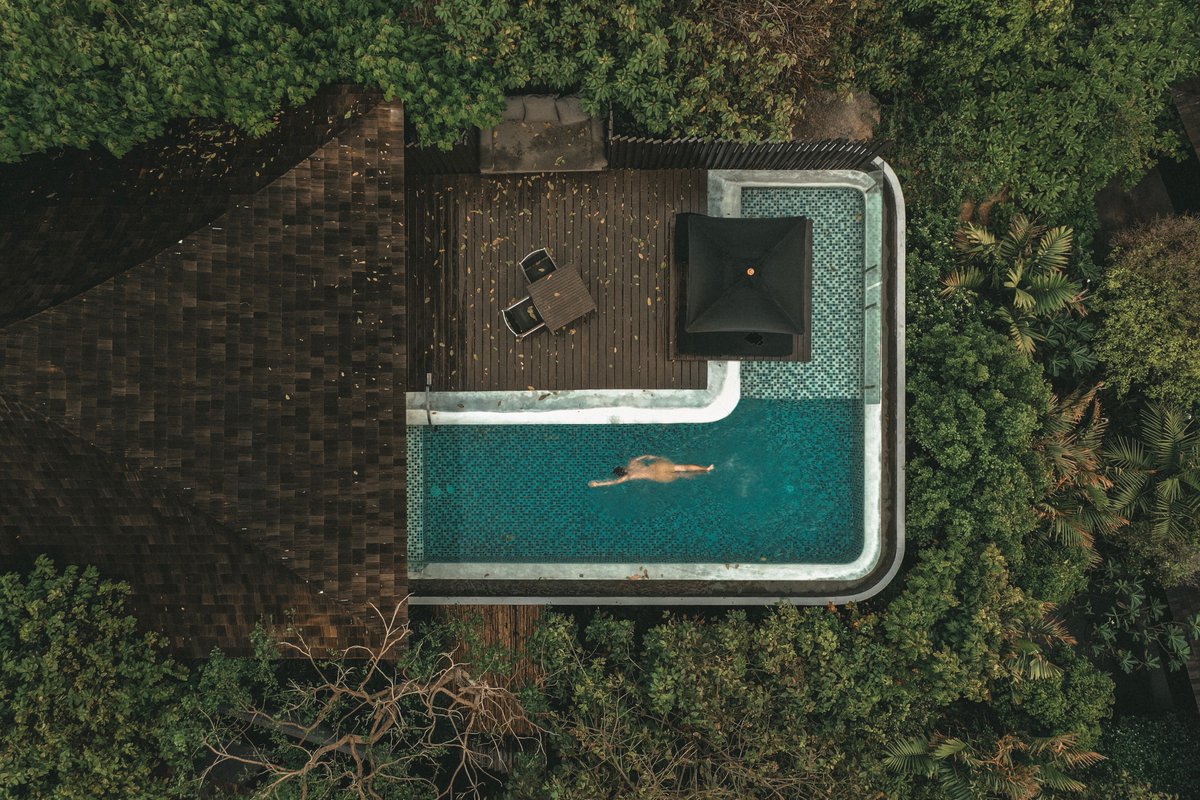 offtography tweet media