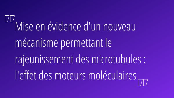 Hauteurs_UGA's tweet photo. [#MT180] ✨Les candidat.e.s de #Grenoble✨

Voici Sarah Triclin. Sa thèse porte sur les microtubules🧫 
👉 Rdv le 17 mars pour la finale locale
📹 Retrouvez-la bientôt en story ! https://t.co/n2iRUqbOzY
 @bleu_isere @MT180FR @CnrsAlpes @CPUniversite @MC2Grenoble https://t.co/VaFB2d1sdZ