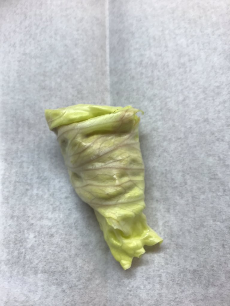 MinBick's tweet photo. FYI: lettuce and peanut butter wraps is the way forward! #giveitago https://t.co/Cc25XEwZyZ